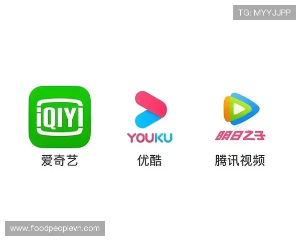 九游网官方网站入口多平台登录方式及兼容性分析