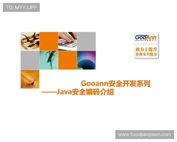安全稳定的9游游戏官网登录方式推荐确保玩家账号信息安全无忧